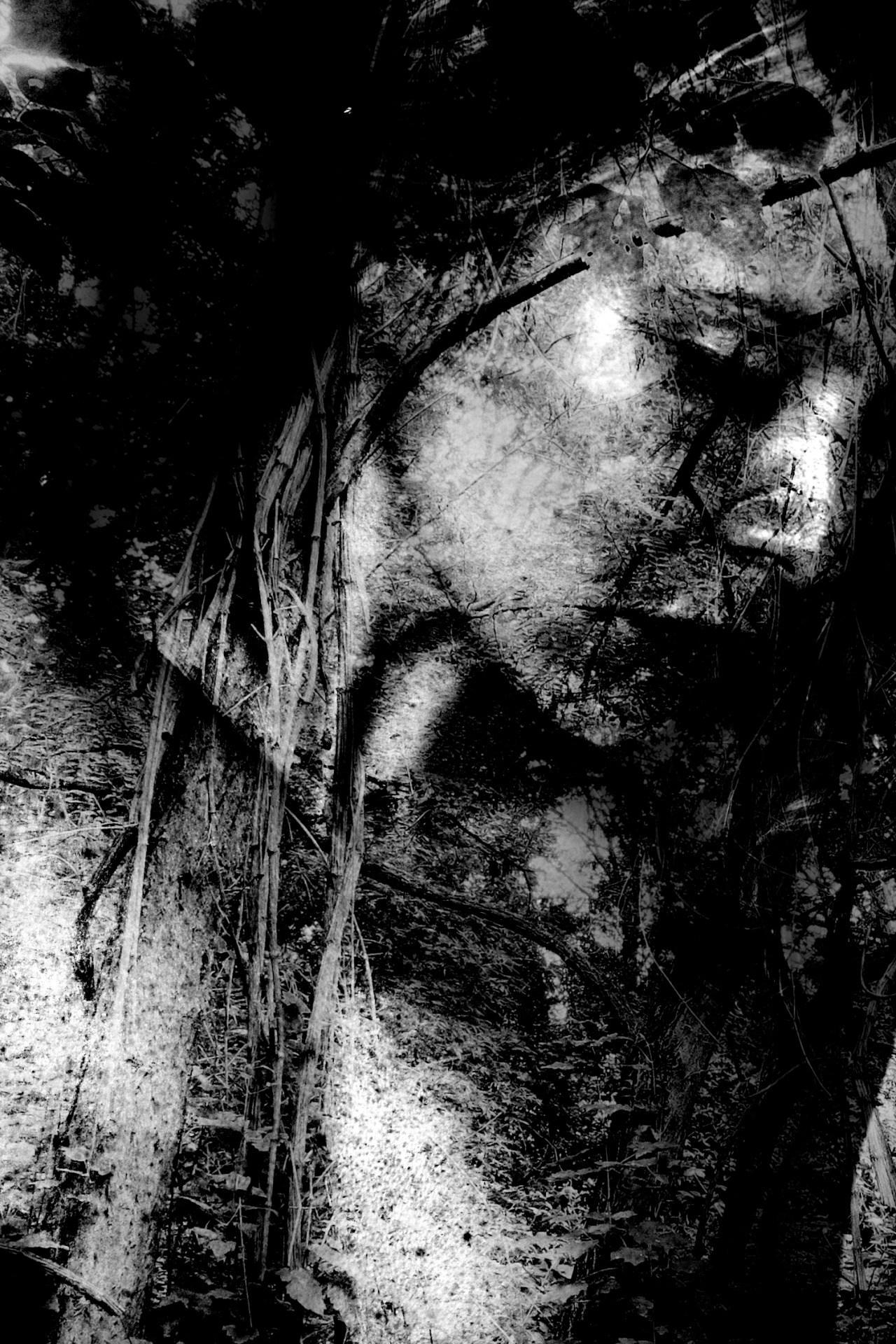 resa-rot:  by ResaRot https://www.facebook.com/ResaRotFotografie 