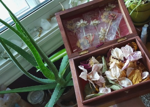 box of flowers