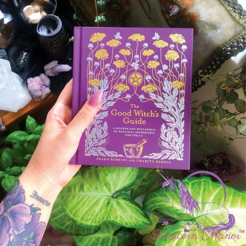 The Good Witch’s Guide is back in stock ✨ This book is great for beginner witches and spiritua