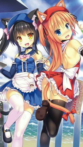pussycatsnekogirls:  Not enough cuteness yet 😻