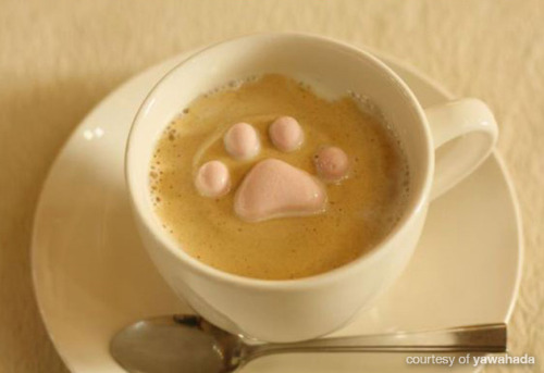 meowoofau:  cat marshmallows What’s fluffy, sweet and too adorable to eat? Cat marshmallows! Now you can have cat inspired beverages in the comfort of your own home thanks to Yawahada, a Japanese specialist marshmallow shop. The paw print marshmallows