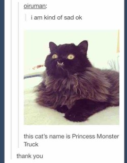 advice-animal:  Princess Monster Truckadvice-animal.tumblr.com 