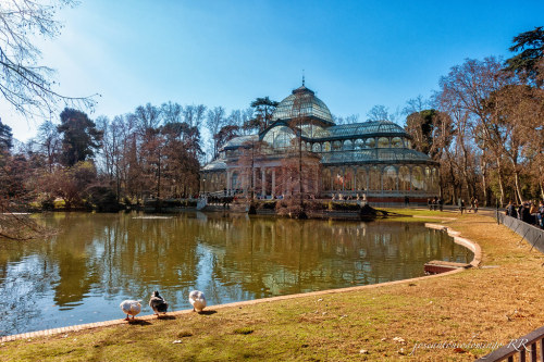 Palacio de Cristal by José Antonio Domingo RODRÍGUEZ RODRÍGUEZ Parque del Retiro (Madrid) fl