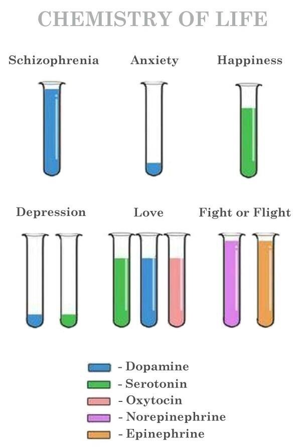 Neurolove.me