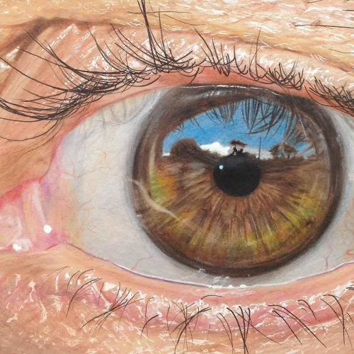 peppomint: estebanvewi: Hyperrealistic Eyes Drawn with Colored Pencils WHAAAAAT