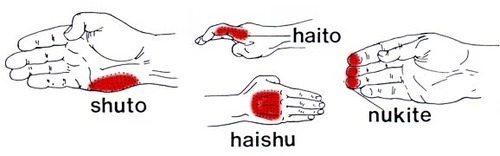 feiyueshoescanada:  Hands and feet are two important parts of playing Kung fu.  How much do you know about them? What postures do Kung Fu hands and Kung Fu feet Kung Fu? How do they play well,together? Only to understand these problems, you can really