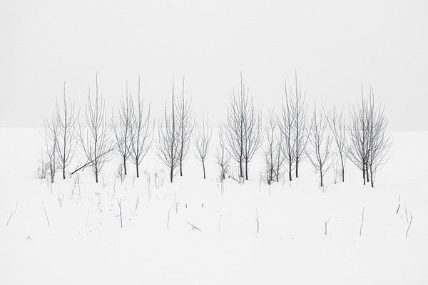 definitelydope:  By Akos Major 