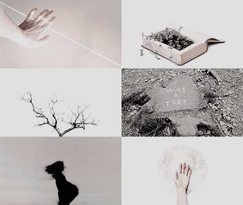 kerahs: “Tree-lights,” she read. “Because you can hide in trees?”“They