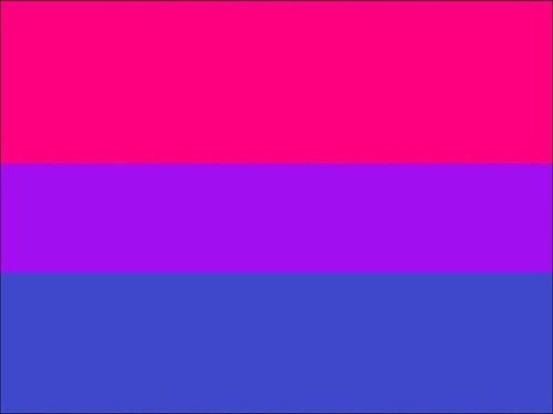 kaiawhy:goodbirb:aph-mr-puffin:aph-mr-puffin:thank u barbie for showing bi/lesbian solidaritythank u