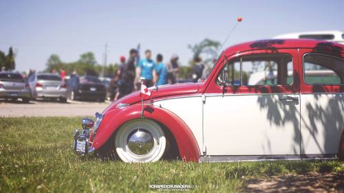 scrapedcrusaders:  Best Classic Winner at Fitted 2013.Scrapedcrusaders.com