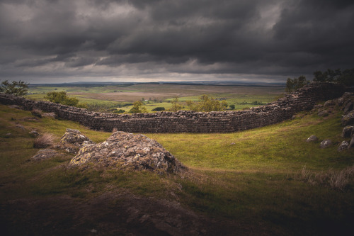 freddie-photography:  This is NorthumberlandFrom the mystery of countless castles, to the forests stradling barren moors, this is the hidden beauty of the county of Northumberland, England.By Freddie Ardley PhotographyWebsite | Facebook | Instagram |