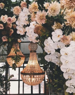 andantegrazioso:  A dream of flowers |  she_design  