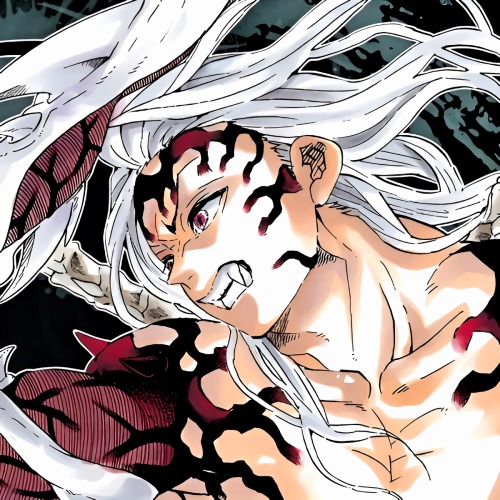 MUZAN KIBUTSUJI ICONS