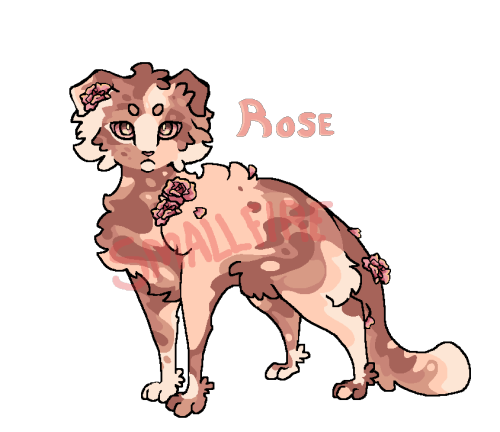 stress relief designs inbetween studying for my final exam today lets GOOO1; ROSE - CLOSED2; ORIOLE 