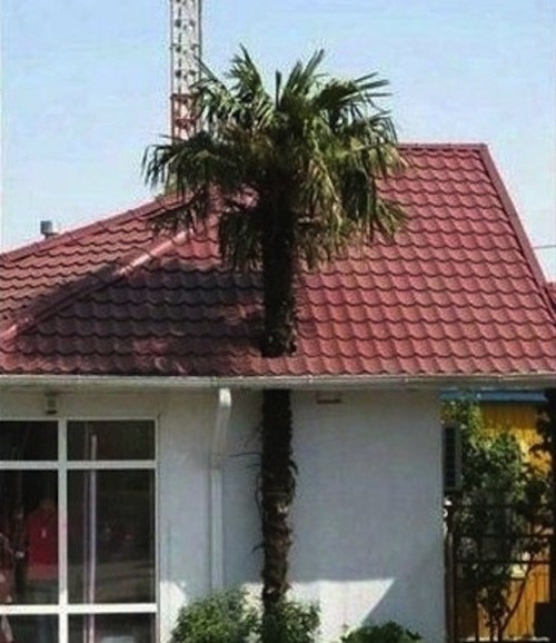 hersheywrites:  beben-eleben:  Design failure?  Lmao. 