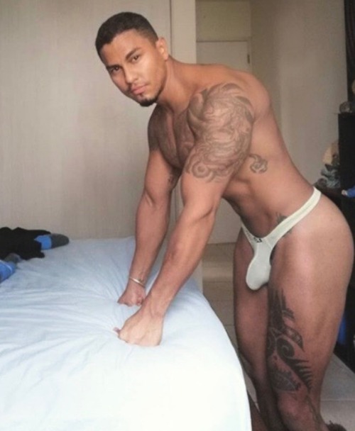 tomcat1855:latinzguy:AY PAPI!
