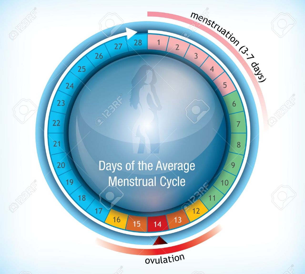 impregnationfreak:  Let’s set your visit to my place for Day 12….and on Day 14