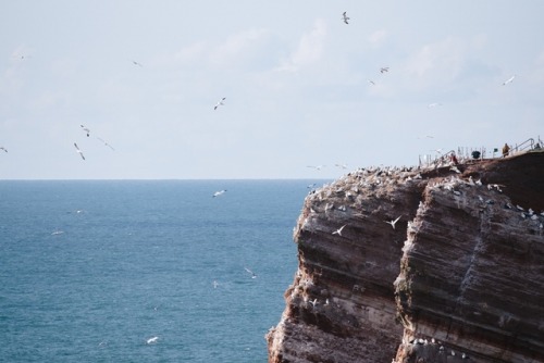 Birds flying high you know how I feel.September, 2019.