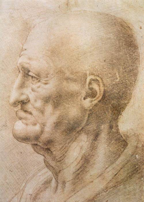 Profile of an old man, 1505, Leonardo Da VinciMedium: ink,paper