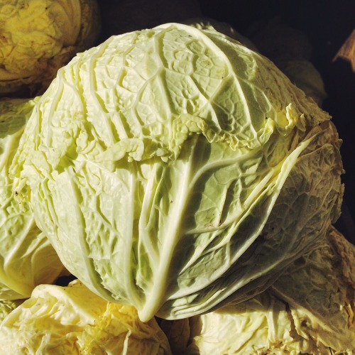 Farmers Market Vegetables.