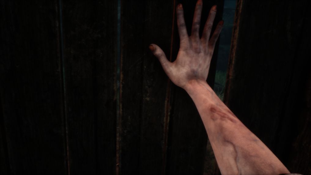 Shame Legacy, PC, Review, Survial Horror, First Person Horror, Screenshot