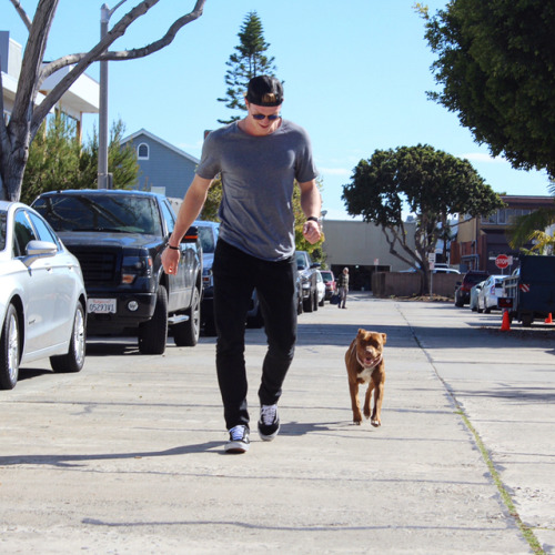 Josh Manson with his foster dog, Barb(Source: instagram.com/joshmanson42)