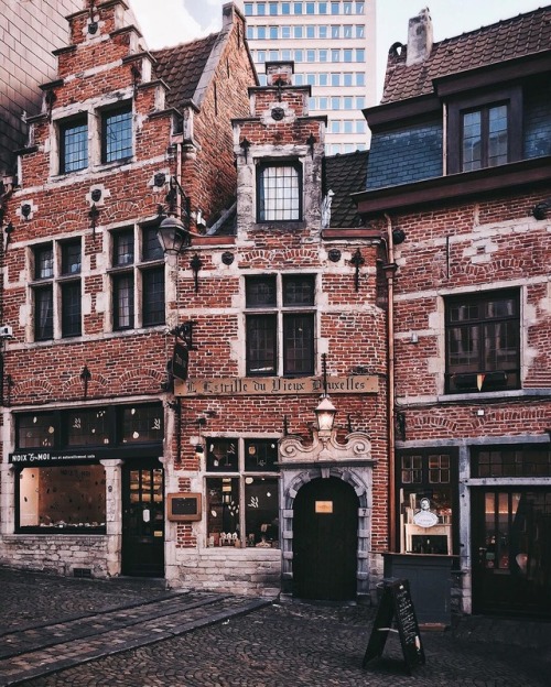 vintagepales2:Brussels, Belgium