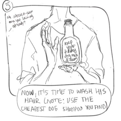 Step To Step: How To Take Care Of Shizu-chan's Hair!