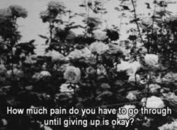 Hopeless Wanderer