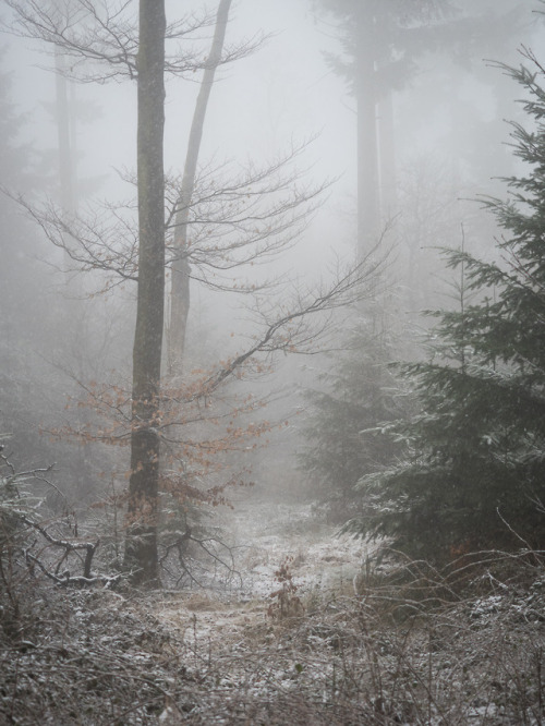 talkstotrees:florianpainke:18/01/20-95 – oh how would I be in two places at oncePulling back in some