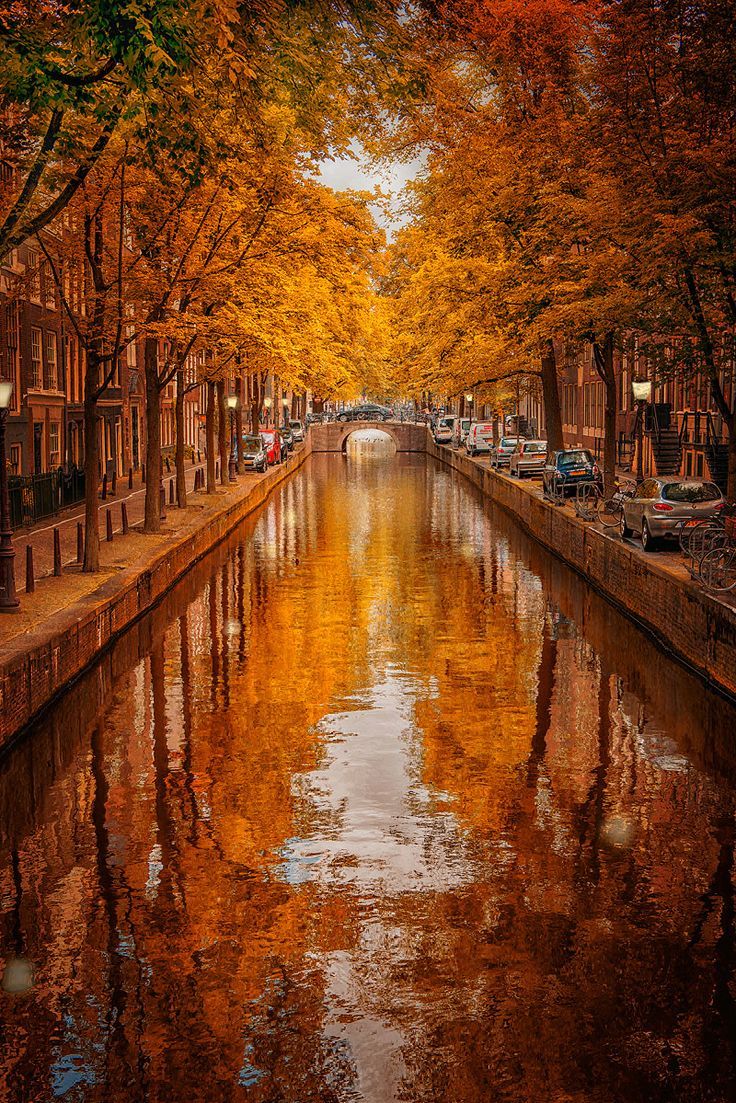 as-cosy-as-can-be:  The Netherlands 