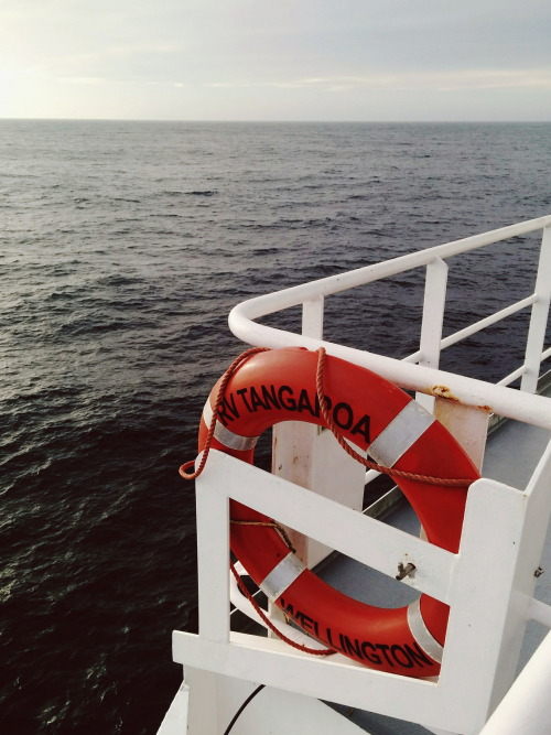 aratrikag05:I was on a research vessel for 12 days, to help with some seafloor data collection along