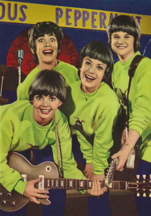 The Ladybugs from Petticoat Junction, 1964 porn pictures