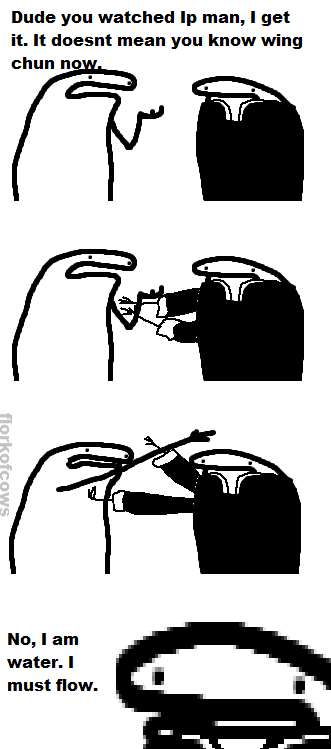 XXX flork-of-cows-unofficially:wing chun photo