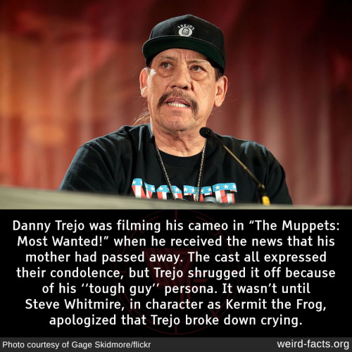 Danny Trejo was filming his cameo in “The Muppets: Most Wanted!” when he received the news that his 