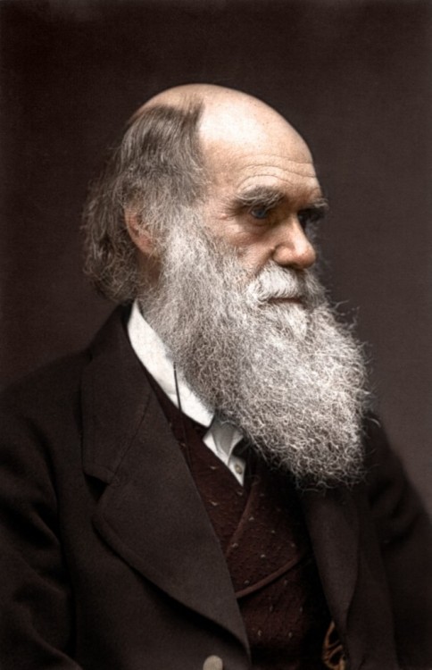 house-of-gnar:  Color photo of Charles Darwin