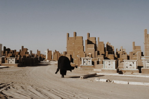 aliirq:    Wadi Al-Salaam, the largest cemetery in the world. Najaf, Iraq. 2002  © Thomas Dworzak  