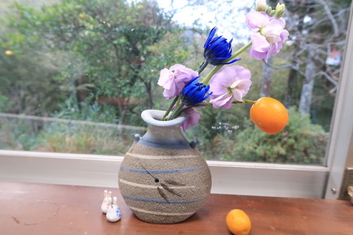 This Week’s Ikebana  - Sparkling BlueAt the local michi-no-eki someone had gone to a lot of trouble 