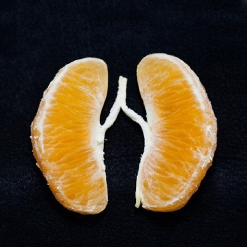 tiggersoup:  darrynek:  nevver:  Breathe  i can’t because my lungs are clementines  citurass down 