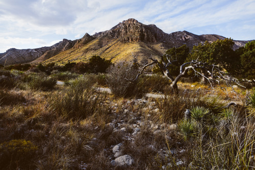 Happy Earth Day, part II.Part I : Vertical, here.Guadalupe Mountains National Park, TexasOlympic Nat