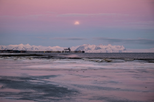 Longyearbyen harborPort Longyearbyen