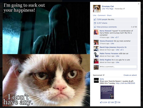 so i happened to come across that dementor/grumpy cat photo i made on the official grumpy cat page. 