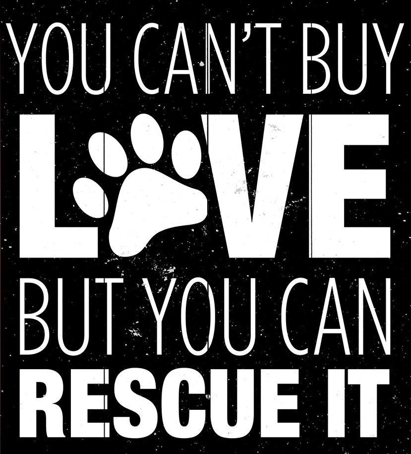 Always Rescue Tumblr Gallery always-rescue-tumblr-gallery