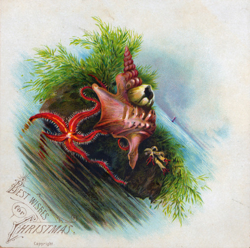 collectorsweekly:Have a Creepy Little Christmas with These Unsettling Victorian Cards