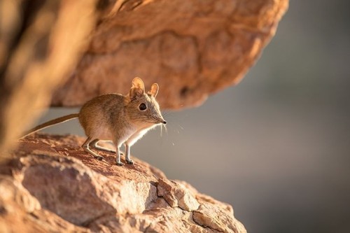 Meeee Exploring 
