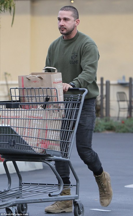 babyintoyland:  sincere-is-the-sin:  quanstylemeup:  Shia LaBeouf  Goals.  I love him.