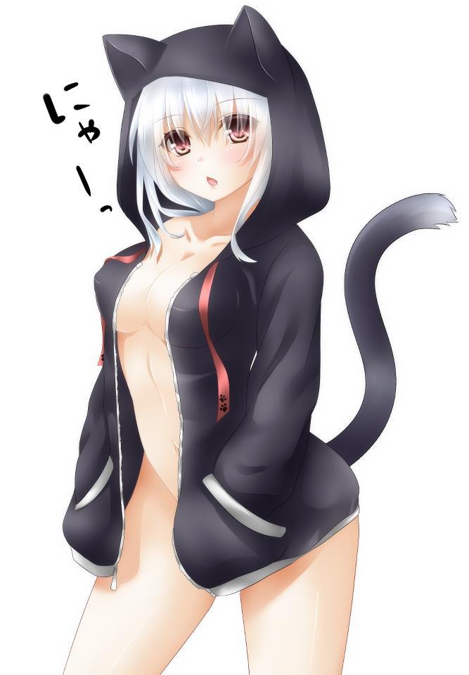 hentaimadnesstaketwo:  Now if you’ll excuse me……I have to go hoard some hentai