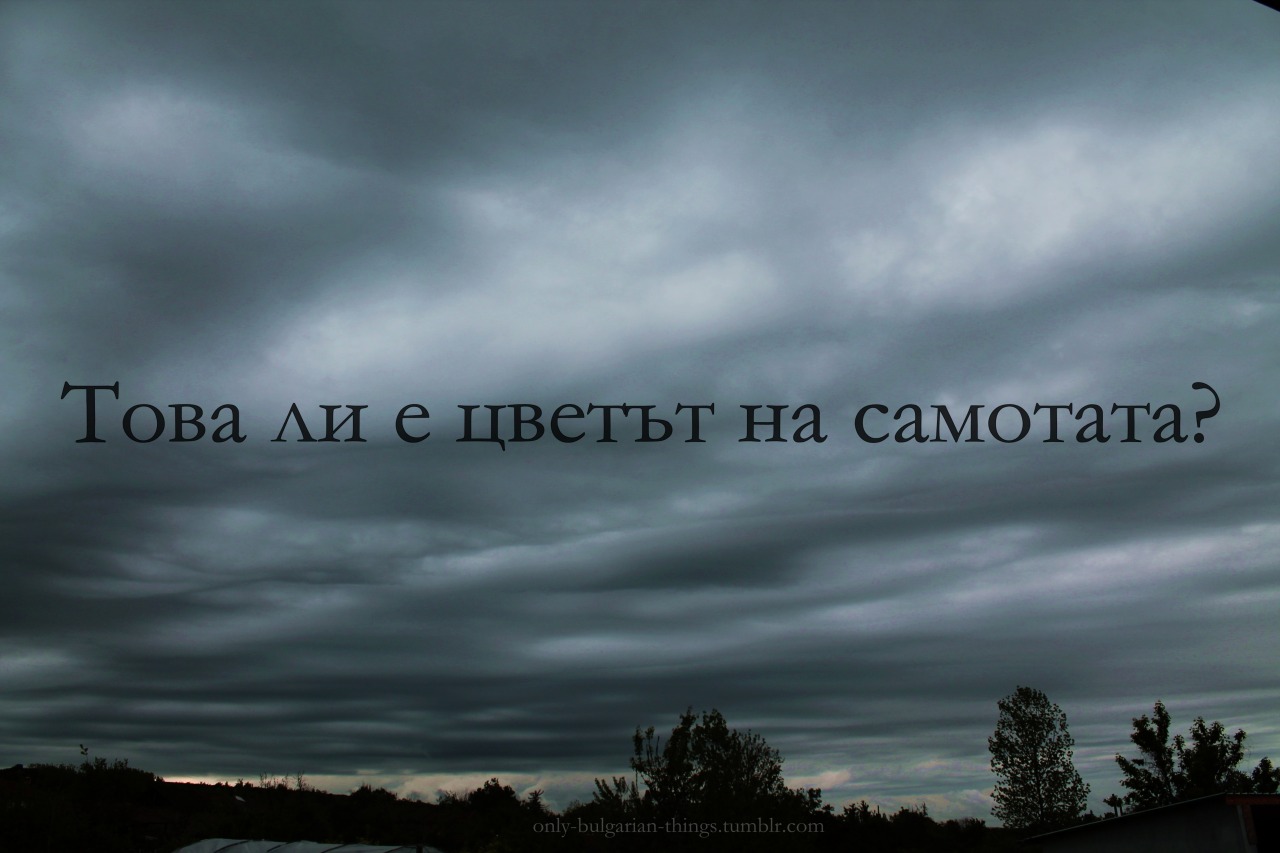 only-bulgarian-things:Това ли е цветът на самотата?  only-bulgarian-things.tumblr.com