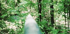 twdsource:  the walking dead meme: one season → season one  There’s us and