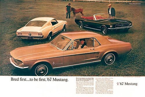 vintagemusclecars:
“Ad for 1967 Mustang
”